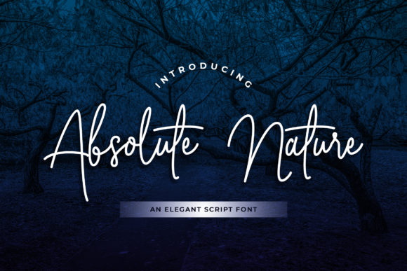 Absolute Nature: A Handwritten Font for Polished Branding