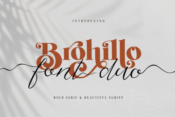 Brohillo: A Designer’s Honest Take on Script Amp’s Latest