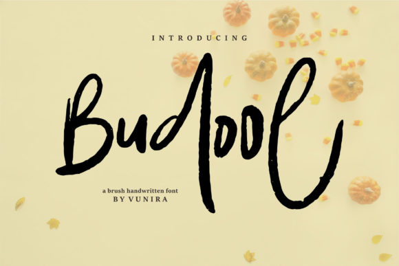 Budool: A Designer’s Honest Review