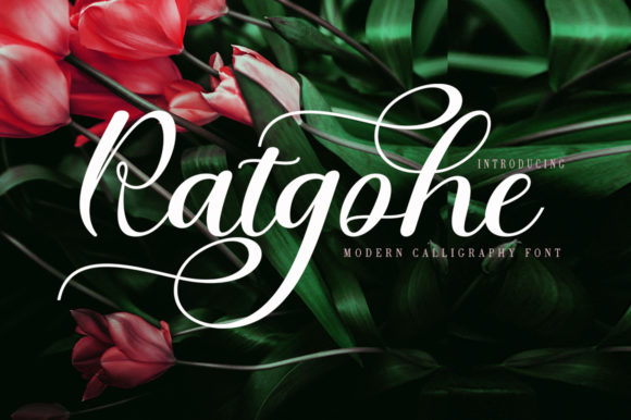 Ratgohe: The Script Font That Elevates Campaign Visuals